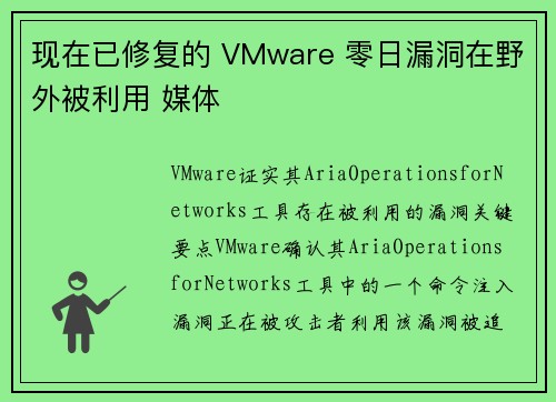 现在已修复的 VMware 零日漏洞在野外被利用 媒体