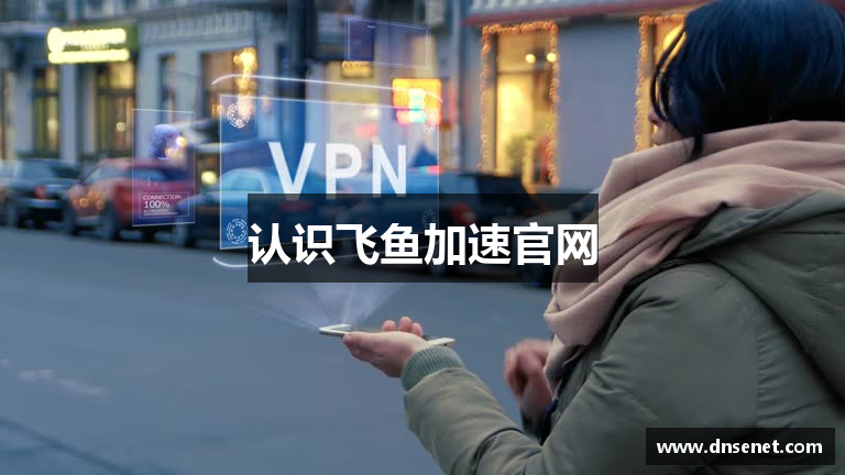 认识飞鱼加速官网